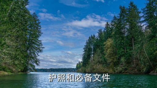 护照和必备文件