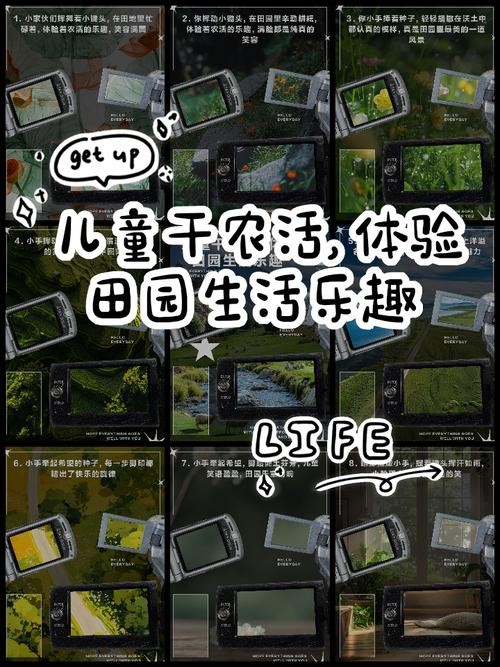 乡村生活快乐暑假游戏：杨过带你体验田园生活
