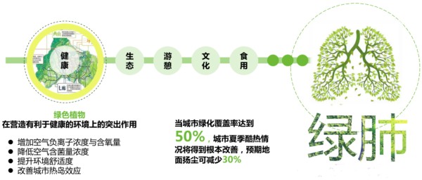 植物是人类体外的绿色肺叶.png