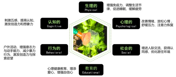 6个方面的功效.jpg
