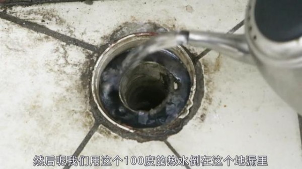 卫生间里总有小飞虫？教你一招，轻松杀除所有小飞虫