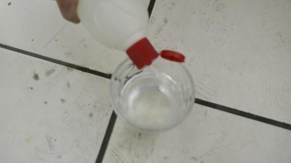 卫生间里总有小飞虫？教你一招，轻松杀除所有小飞虫