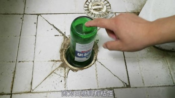 卫生间小飞虫太多？教你一招，一个啤酒瓶让小飞虫全都丧命