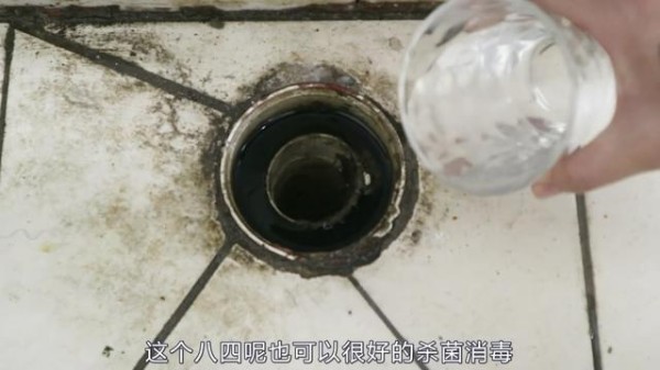 卫生间里总有小飞虫？教你一招，轻松杀除所有小飞虫