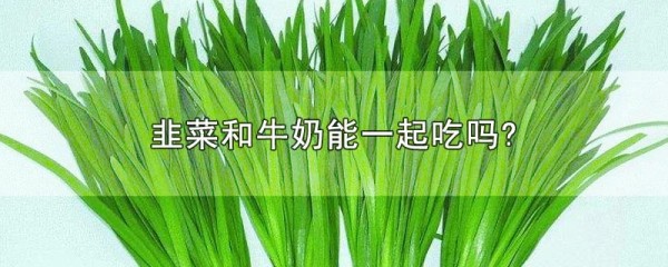 韭菜不能搭配牛奶一起吃，同食会影响钙吸收