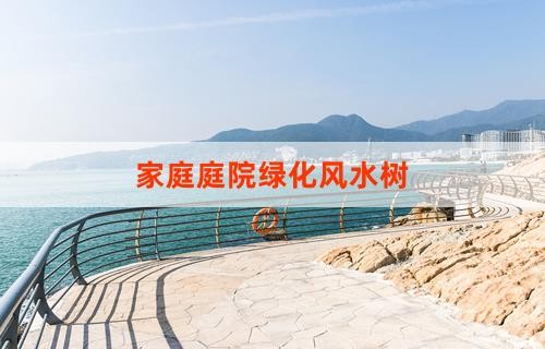家庭庭院绿化风水树