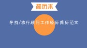导游/旅行顾问工作经历简历范文