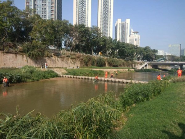 安徽废弃物河道治理服务,河道治理