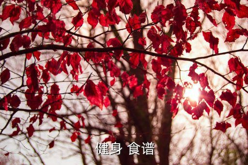  健身 食谱