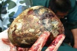 羊宝怎么保存 羊宝的清洗方法