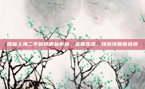 探秘上海二手厨房用品市场,品质生活,绿色环保新选择