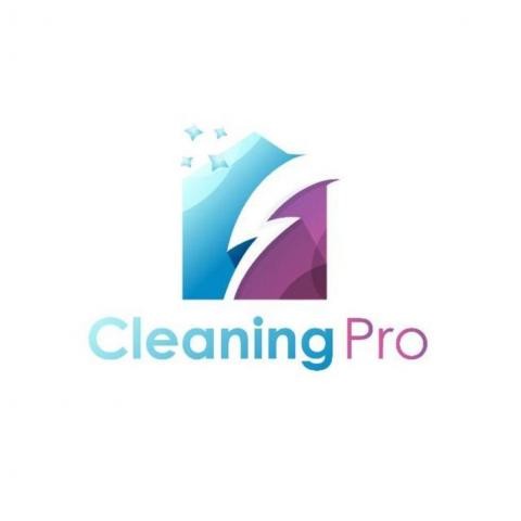 Cleaning Pro