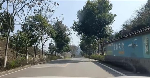 省油秘籍大公开！学会这8个驾驶习惯，每月轻松省下300元油费-有驾
