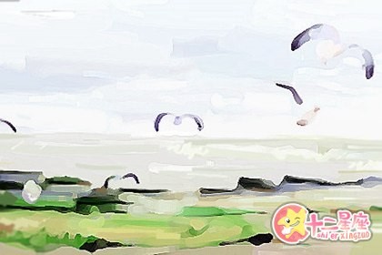 桃花风水