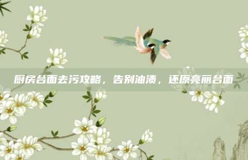 厨房台面去污攻略,告别油渍,还原亮丽台面