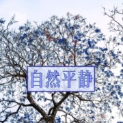 自然平静 – 疗愈的放松音乐，瑜伽练习，内心安静和宁静，自然声音，舒缓情绪的新世纪音乐--主播KANJIAN疗愈_静心助眠-佚名