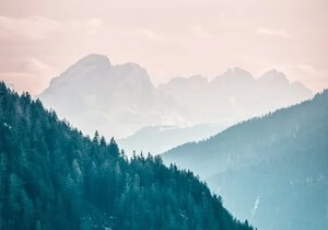 励志的句子经典语句(合集15句)