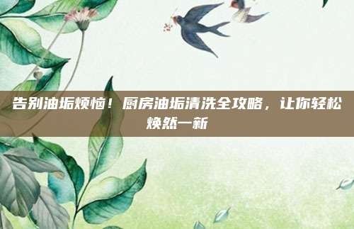 告别油垢烦恼!厨房油垢清洗全攻略,让你轻松焕然一新
