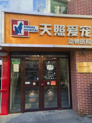 门不大，但是里面别有洞天
