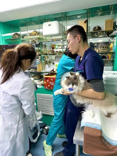 昨天，我的小猫差点儿丢了命……[流泪]