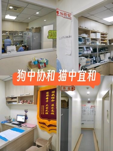 这家宠物医院也太专业了吧