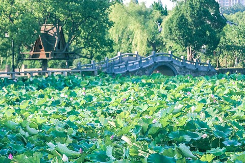 无锡旅游图片
