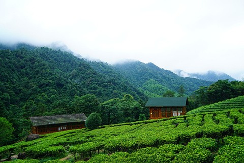 贺州旅游图片