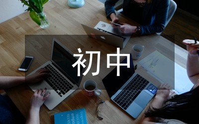 初中语文教学中小组合作学习的优化策略