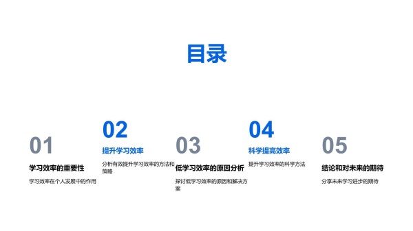 优化学习策略报告_第2页