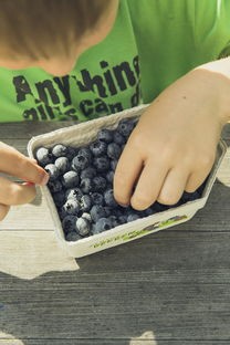 宝宝坚果品牌推荐测评—让孩子的健康零食选择不再纠结