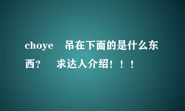 choye 吊在下面的是什么东西？ 求达人介绍！！！