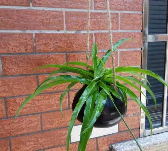 废旧物品在幼儿园植物角的重生，不服不行！-幼师课件网第18张图片