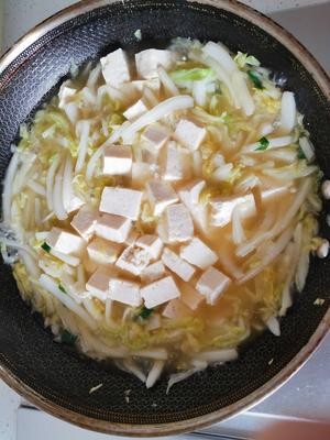 东北名菜—白菜炖豆腐(简易版)的做法 步骤4