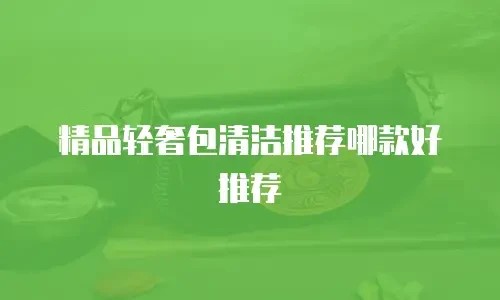精品轻奢包清洁推荐哪款好推荐