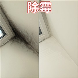 专业除胶公司,瓷砖除粘胶,撕玻璃膜铲胶 墙面除霉菌