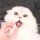 甜宠未浓 