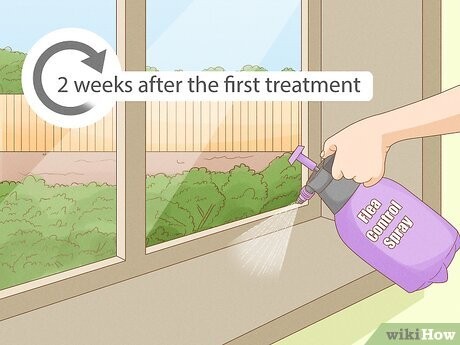 Step 5 在距第一次处理2周后再次进行一次喷洒。