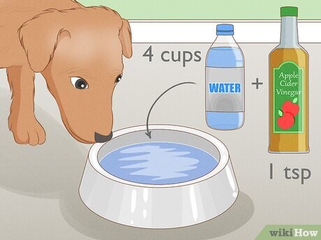 Step 5 用苹果醋。
