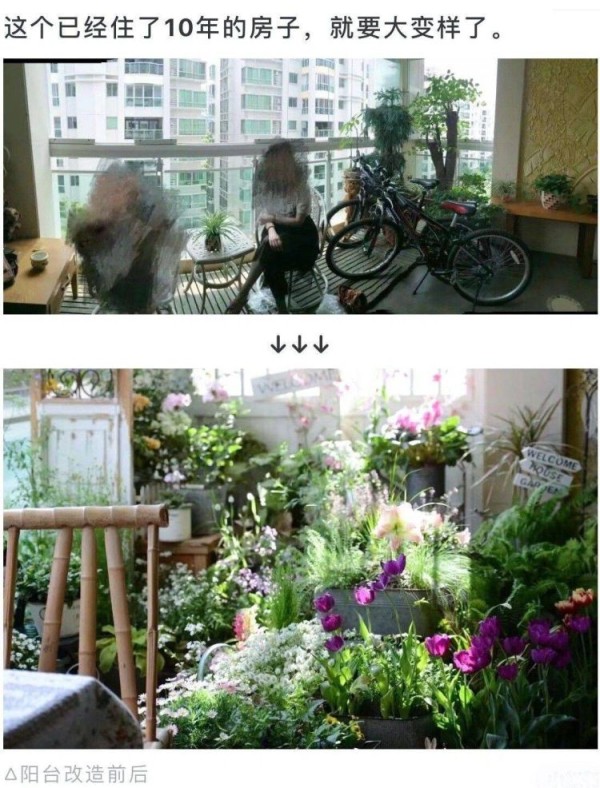 阳台怎样改造成小花园,阳台改造成小花园-成都青望园林景观设计公司-1