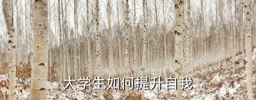 大学生如何提升自我
