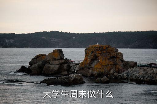 大学生周末做什么