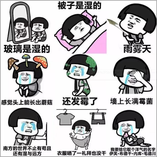606bbf0ae4165.png