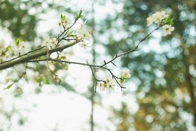 2024年5月3日五行穿衣指南旺运法及搭配颜色,5月3日穿什么颜色的衣服查询