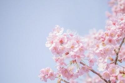 2024年5月30日五行穿衣指南旺运法及搭配颜色,5月30日穿什么颜色的衣服查询