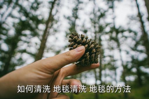 如何清洗 地毯清洗 地毯的方法