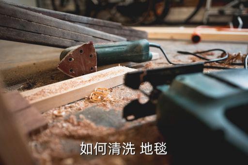 如何清洗 地毯