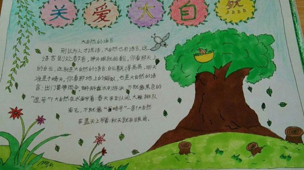 热爱大自然手抄报精选三三班 第七单元主题集萃