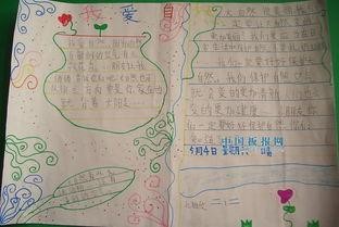 热爱自然的手抄报|热爱自然的手抄报防溺水黑板报|电子板报热爱自然的