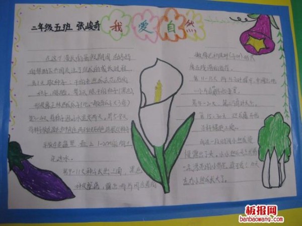 我爱自然爱生活手抄报
