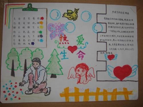 关于生命最珍贵的手抄报生命手抄报